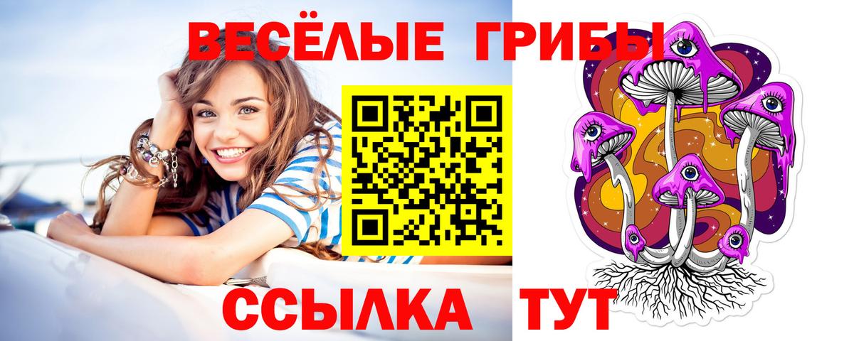 Орёл  Псилоцибиновые грибы мухоморы  Вход с VPN 