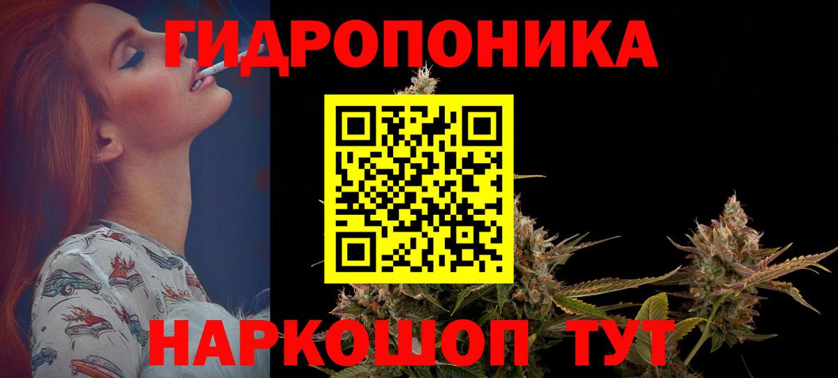 Марихуана гибрид  Бошки Шишки планчик  Орёл  Вход с VPN 